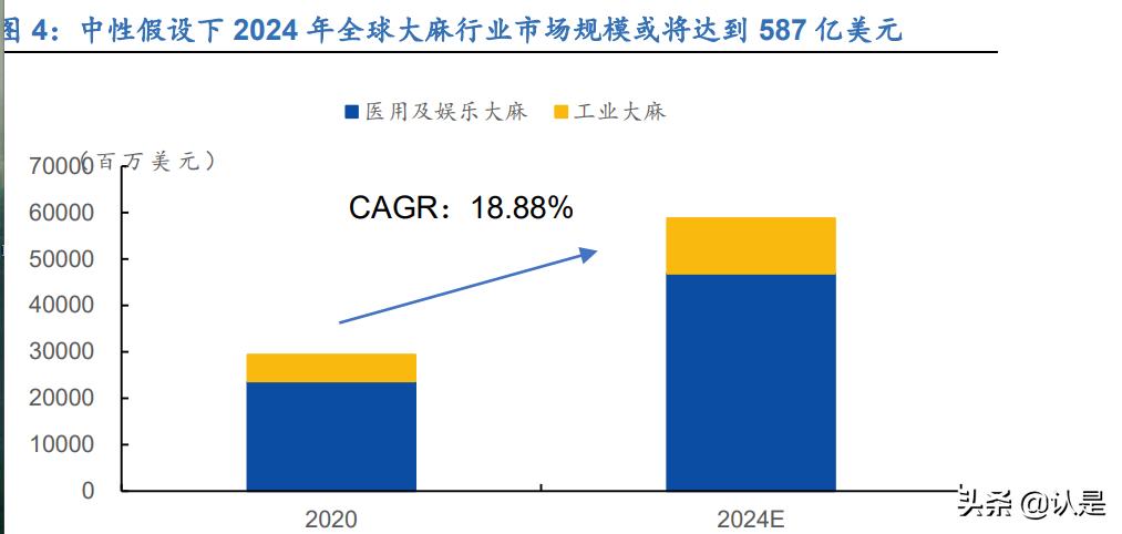 工业大麻的未来发展,工业大麻的未来前景