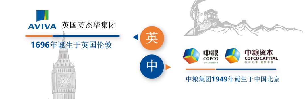 人寿臻享传家终身寿险50岁,中英人寿臻享传家终身寿险怎样