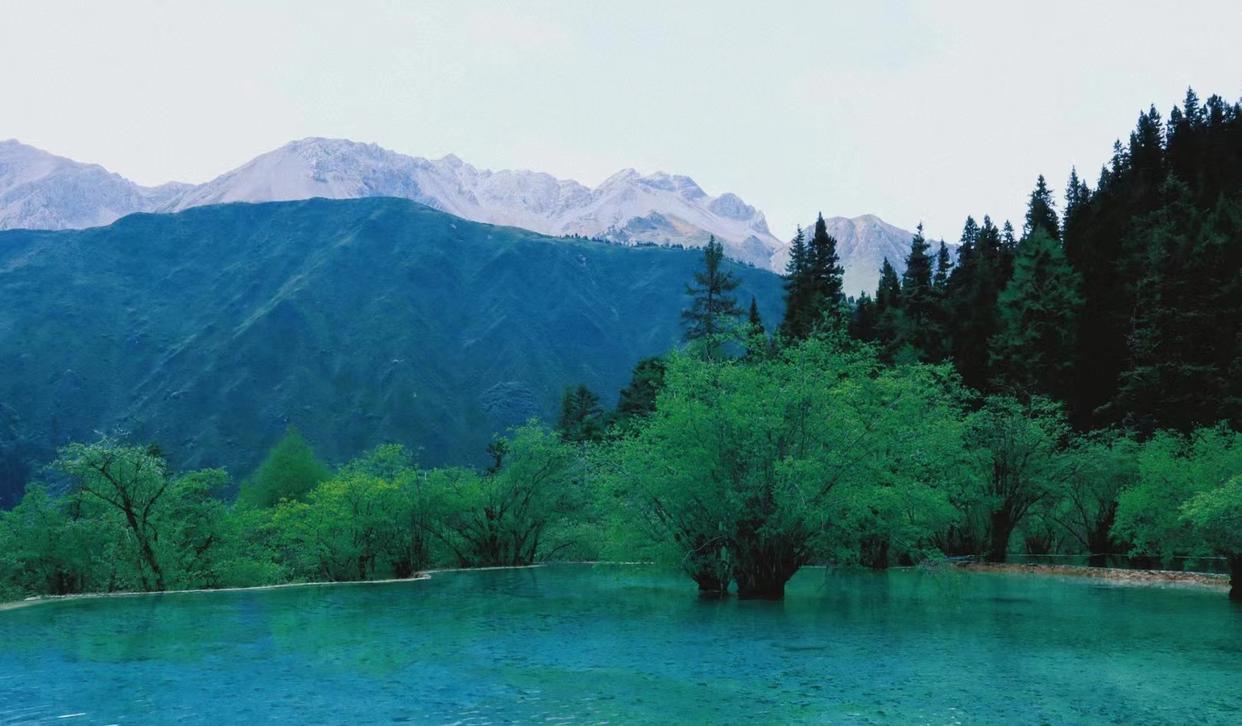 去四川旅游的真实感受,为什么去四川旅游最好