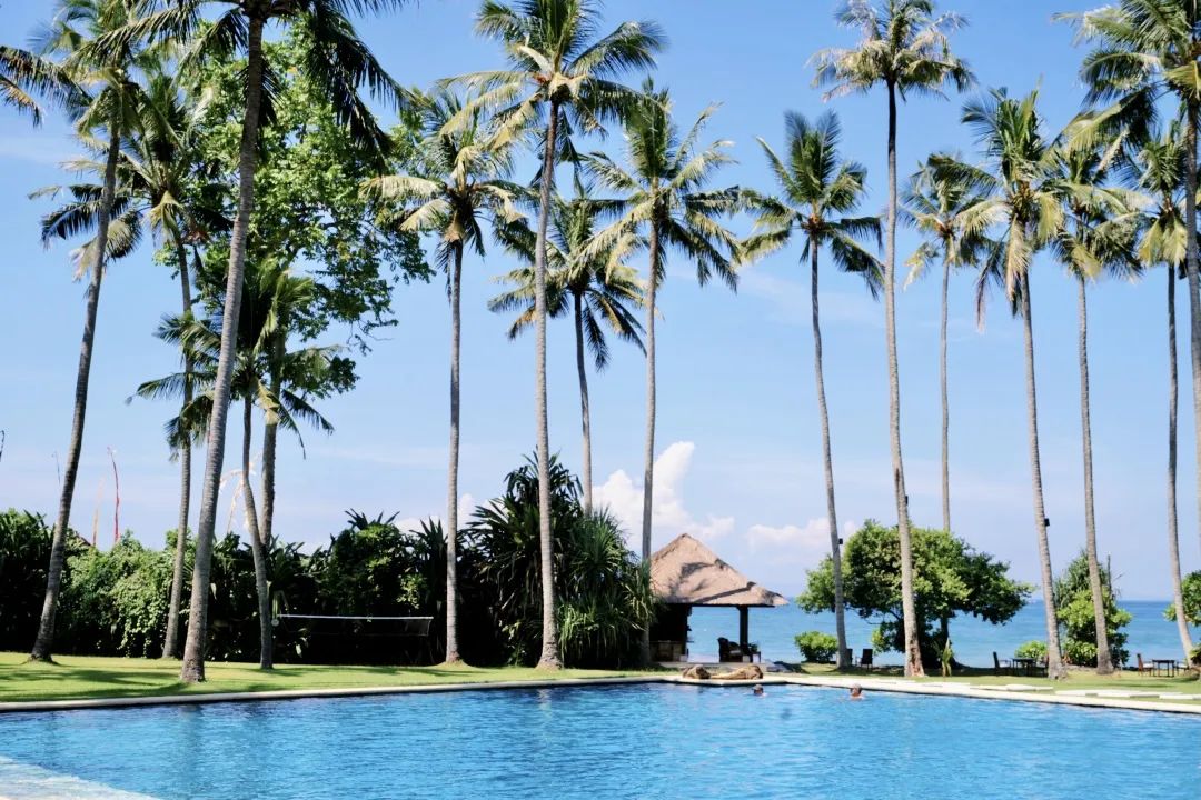 这可能是全球性价比最高的一家阿丽拉