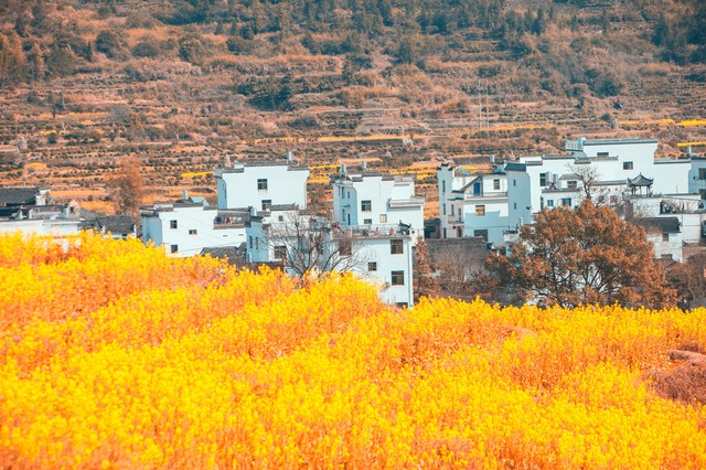 教你一个月如何赚到五位数,我是如何从1万赚到1000万的