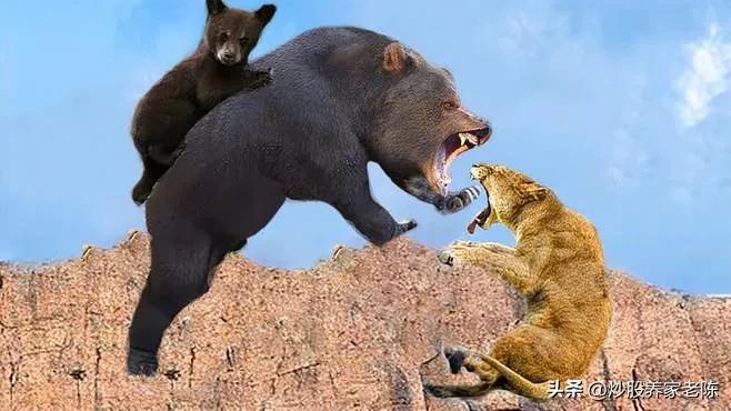 股票里的牛市是什么意思,股票上涨为什么叫牛市