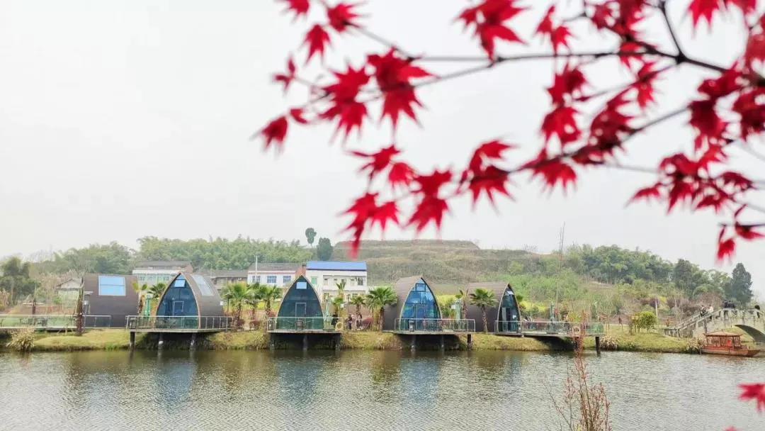 内江市足球场地,内江绿茵青训