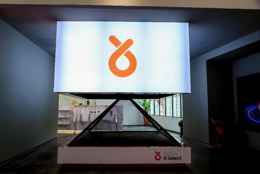 辛巴辛有志积极推动农村电商发展,*疆新**特色蔬菜种植