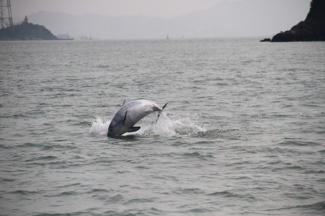 淘宝天猫电商运营,淘宝运营教程淘宝大学