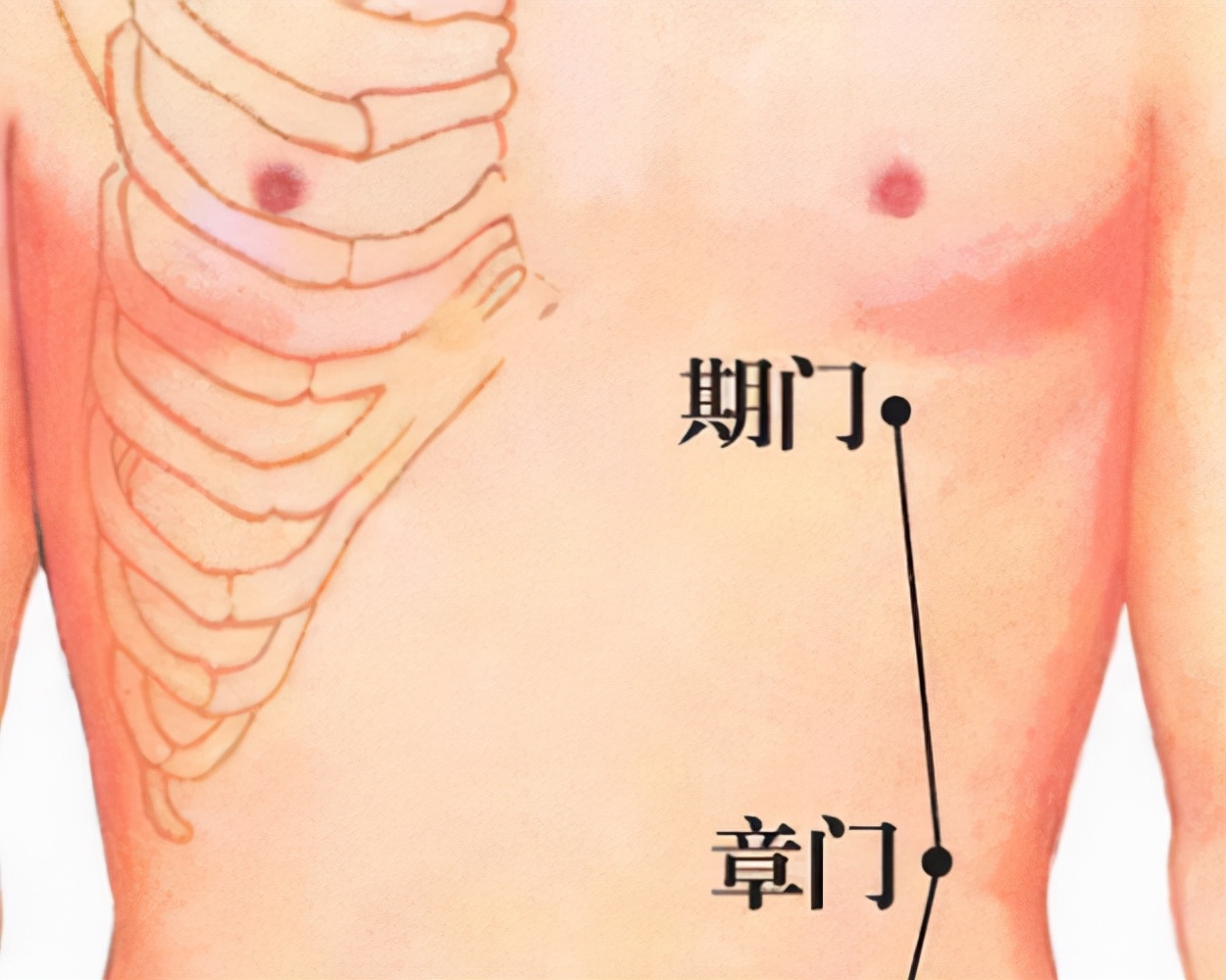 章门穴治疗肝脾肿大的穴位有哪些,章门穴疏肝理气的效果怎么样