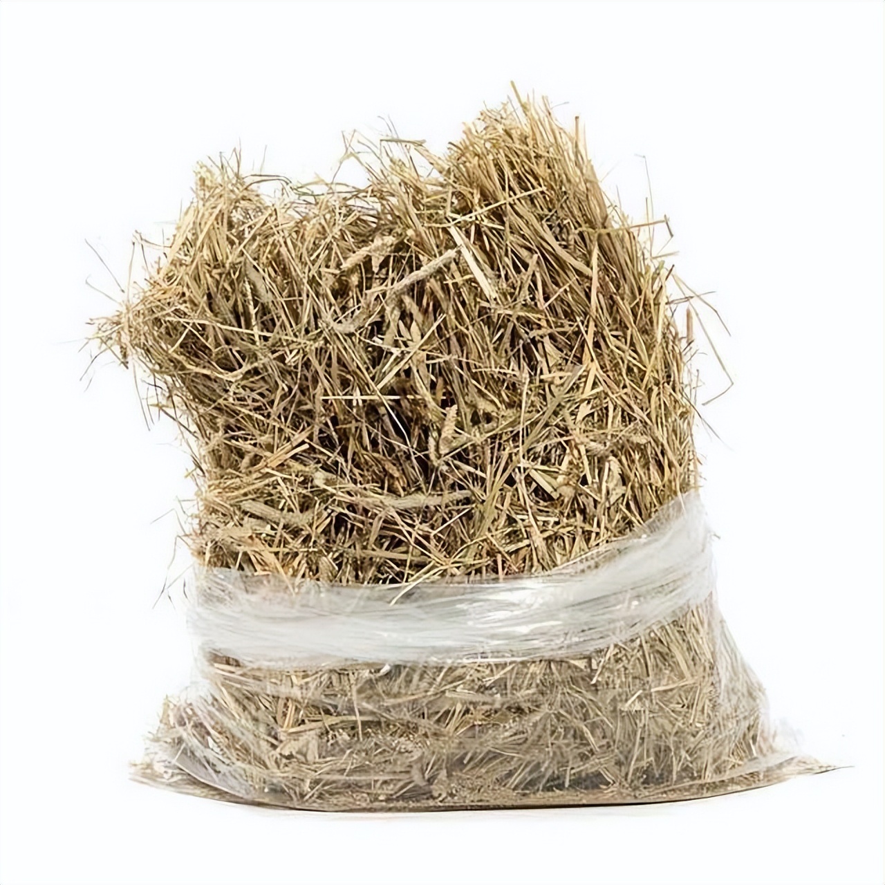 养龙猫的坏处哪些人不适合养龙猫,咋养龙猫