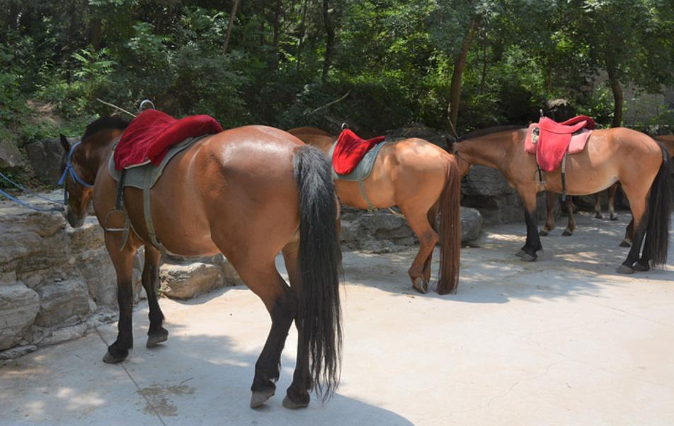 北京旅游景点十渡简介,京郊游玩攻略房山十渡