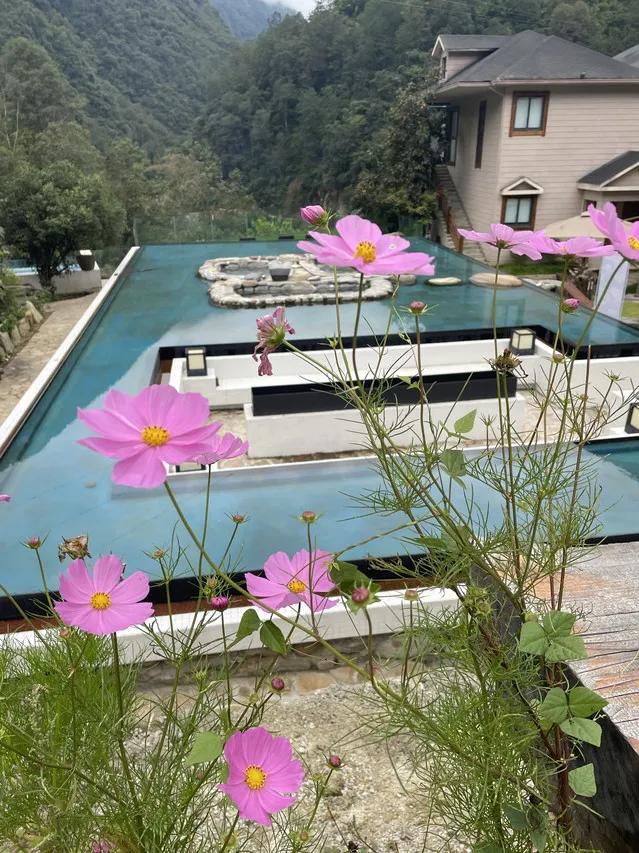 国内真正的天然温泉大全,国内真正的天然温泉排名