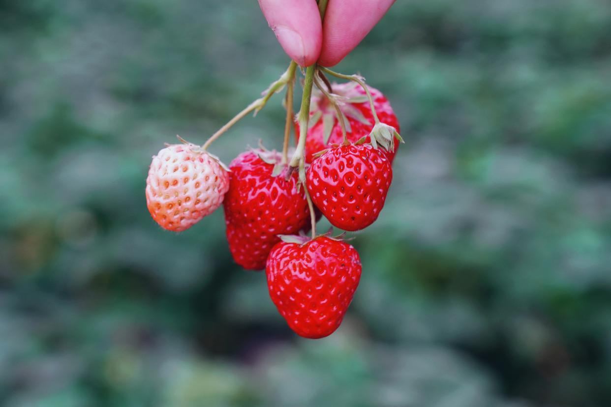 杭州自驾2小时，人间仙境，大美建德，美景美食美宿超实用攻略