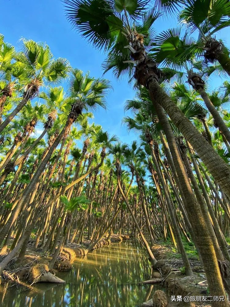广东台山浪琴湾自驾游视频,广州台山旅游攻略