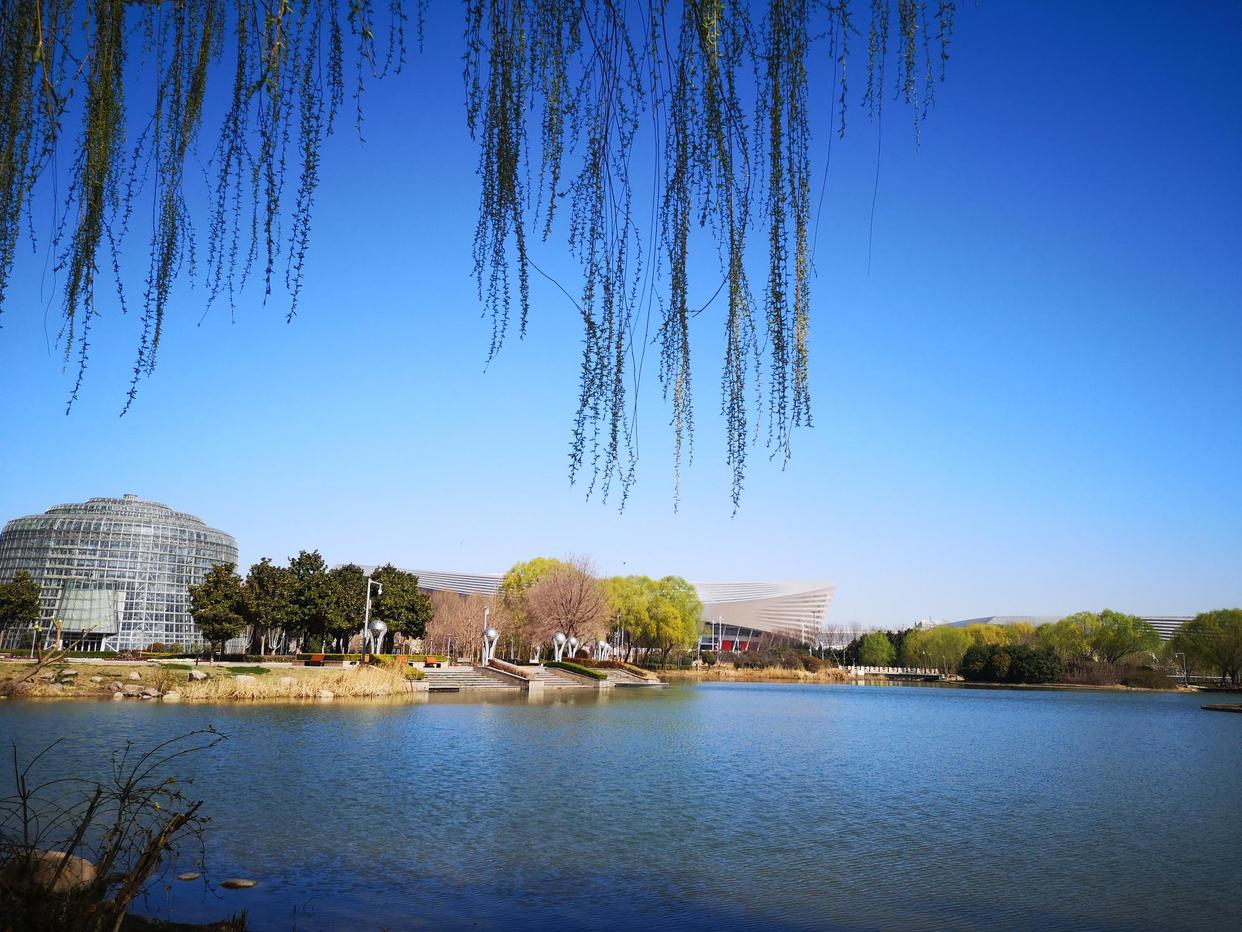 郑州经开区赏花胜地,三月郑州附近有什么赏花的