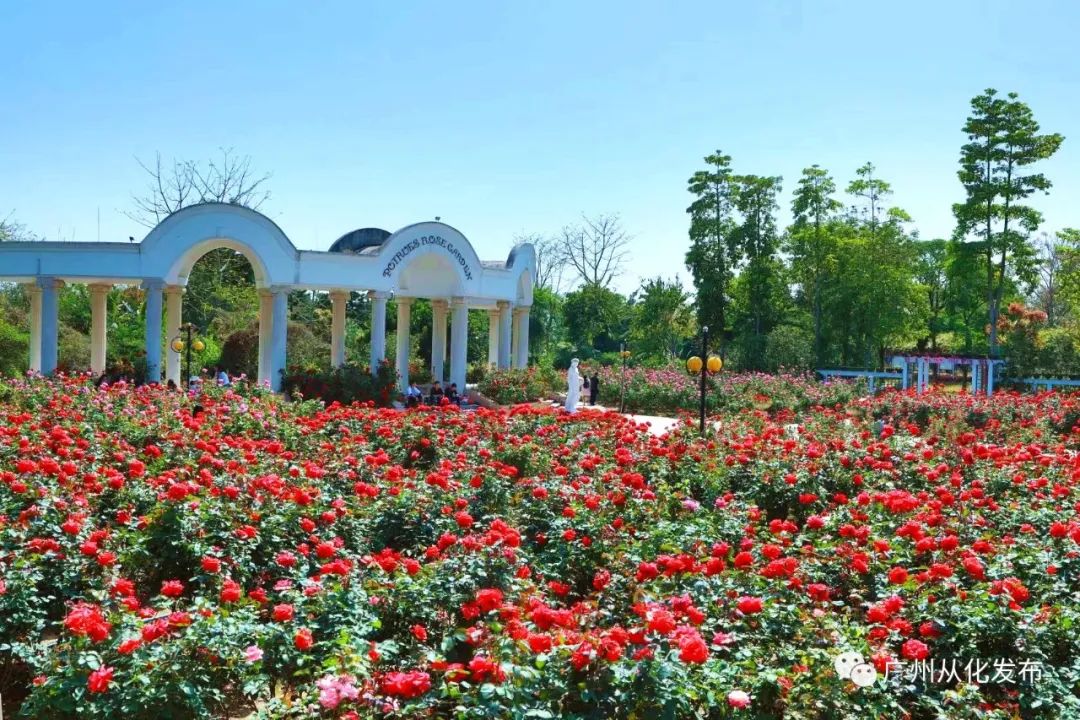 好想在从化结婚！好靓啊啊啊~