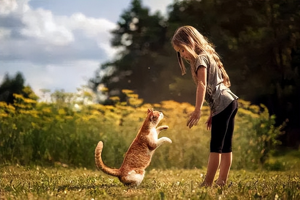 父母经常对成年子女乱发脾气,子女对父母乱发脾气怎么回事