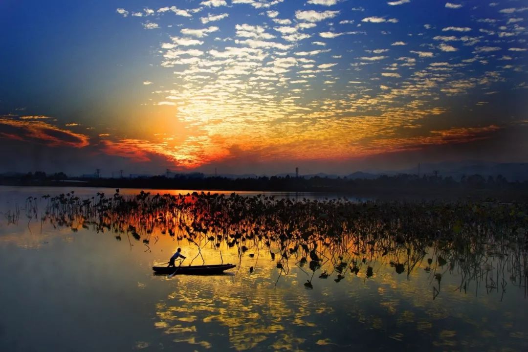 鹤山古劳水乡自由行,鹤山自由行攻略