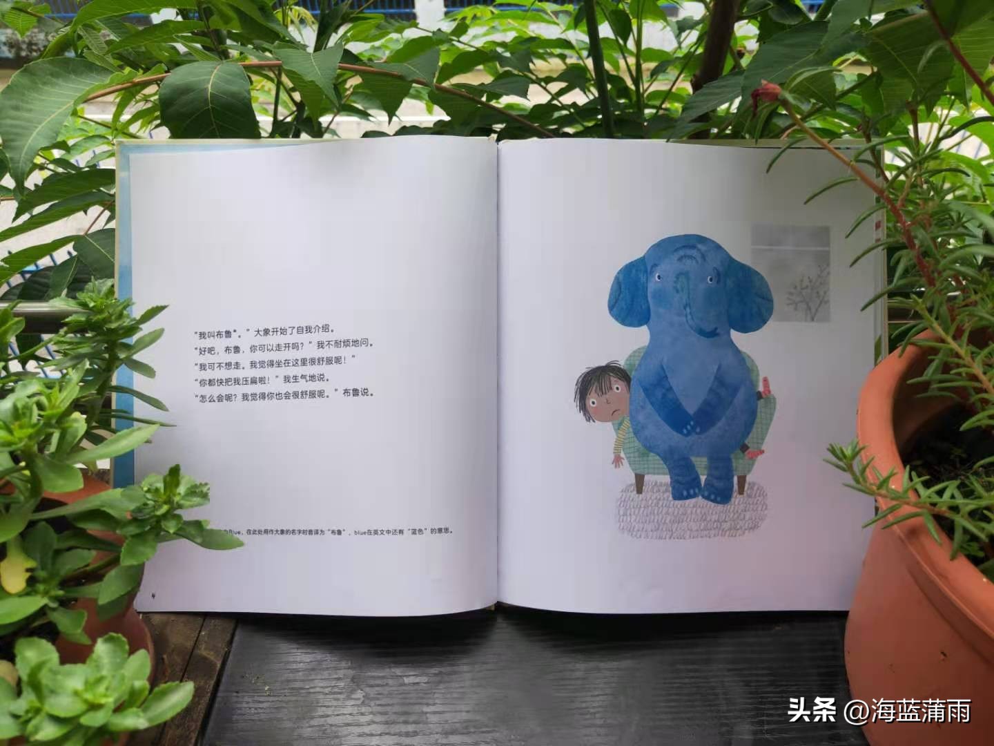 《我的大象是蓝色的》：坏情绪不可怕，掌握好方法让情绪转变