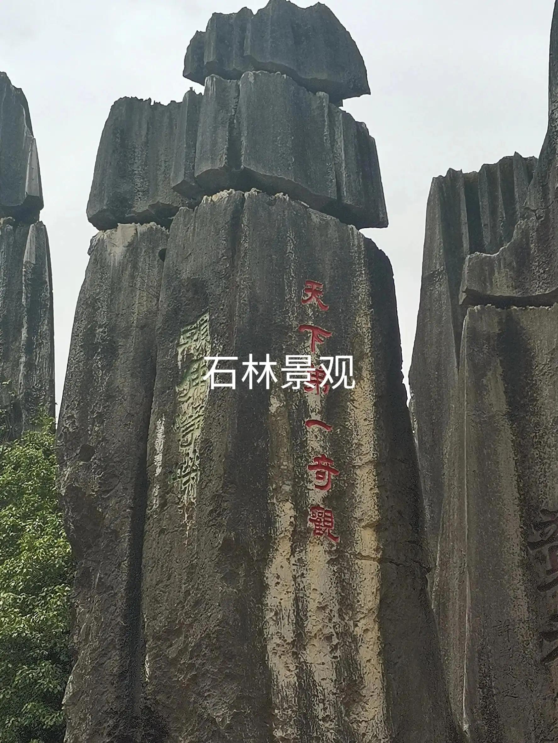 七彩云南之旅,七彩云南之旅旅游卡