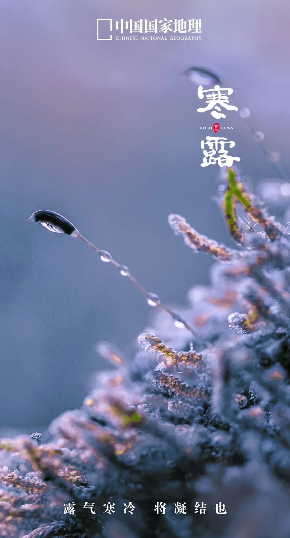 一年中最有智慧的节气图片,365天最美24节气图诞生惊艳国人