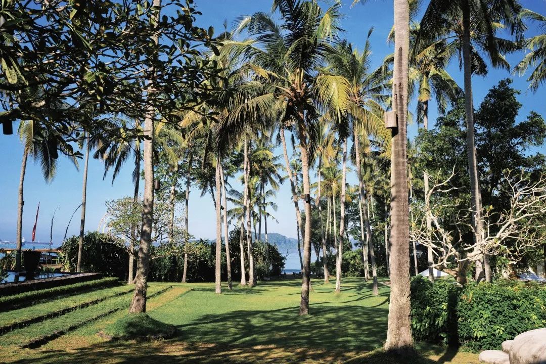 这可能是全球性价比最高的一家阿丽拉