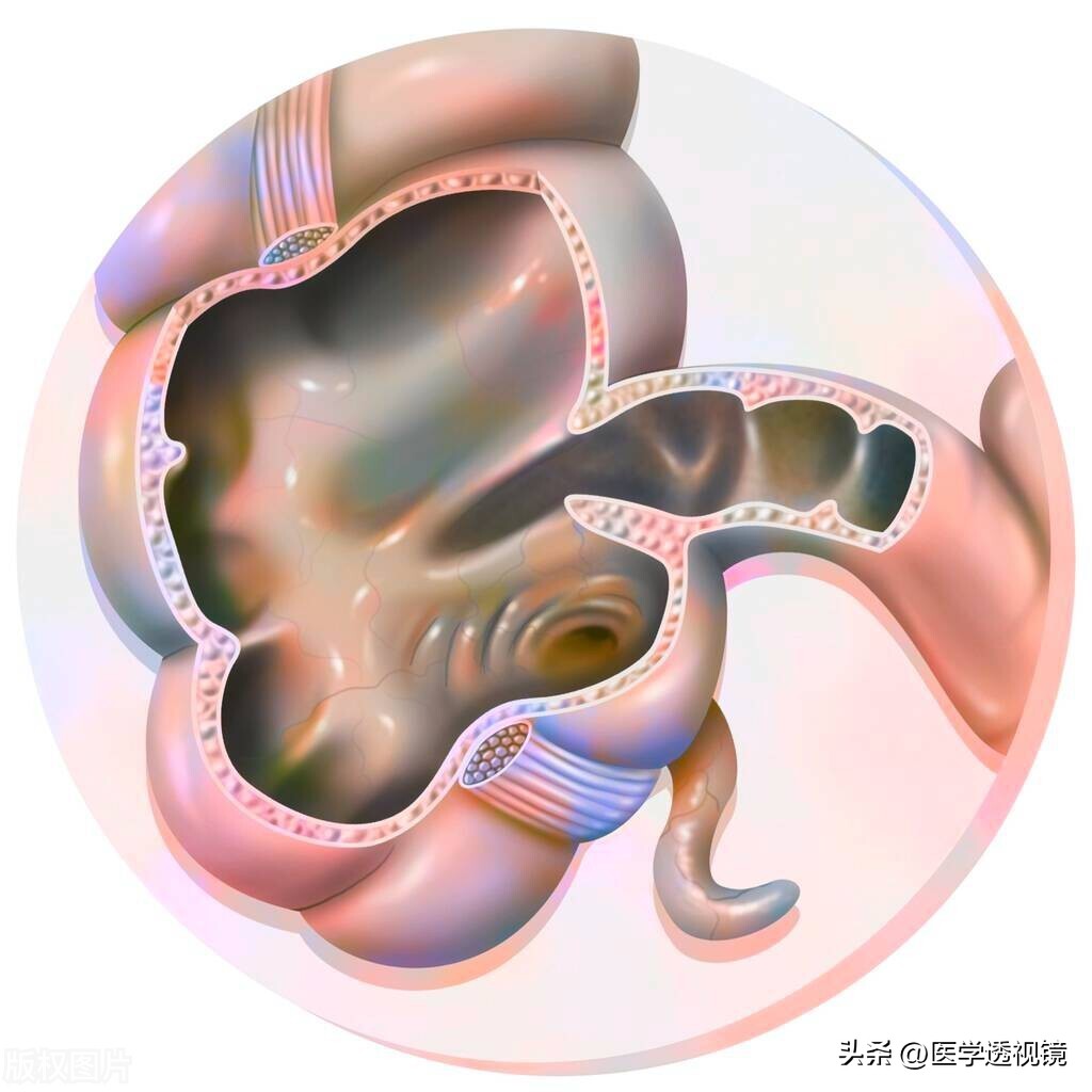 宫外孕诊断成肠胃炎可以告么,妇科病可以挂消化内科吗