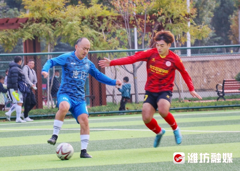 现场直播健身在线观看,运动健身现场直播晚八点