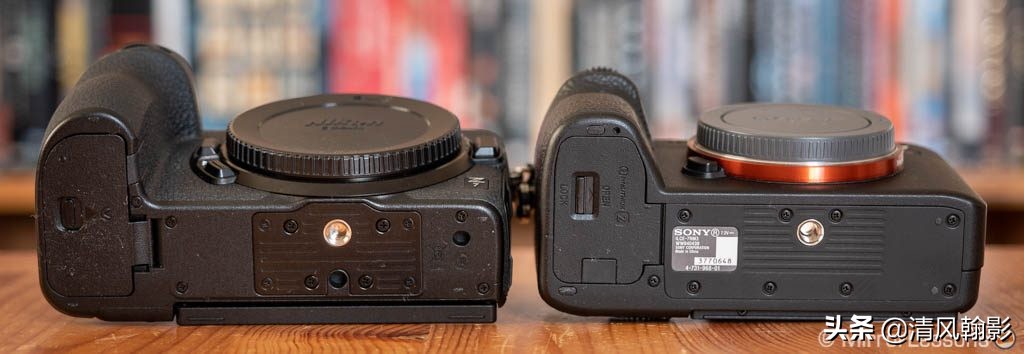 拍鸟用尼康d6好还是z7ii好,拍鸟买r6还是r5