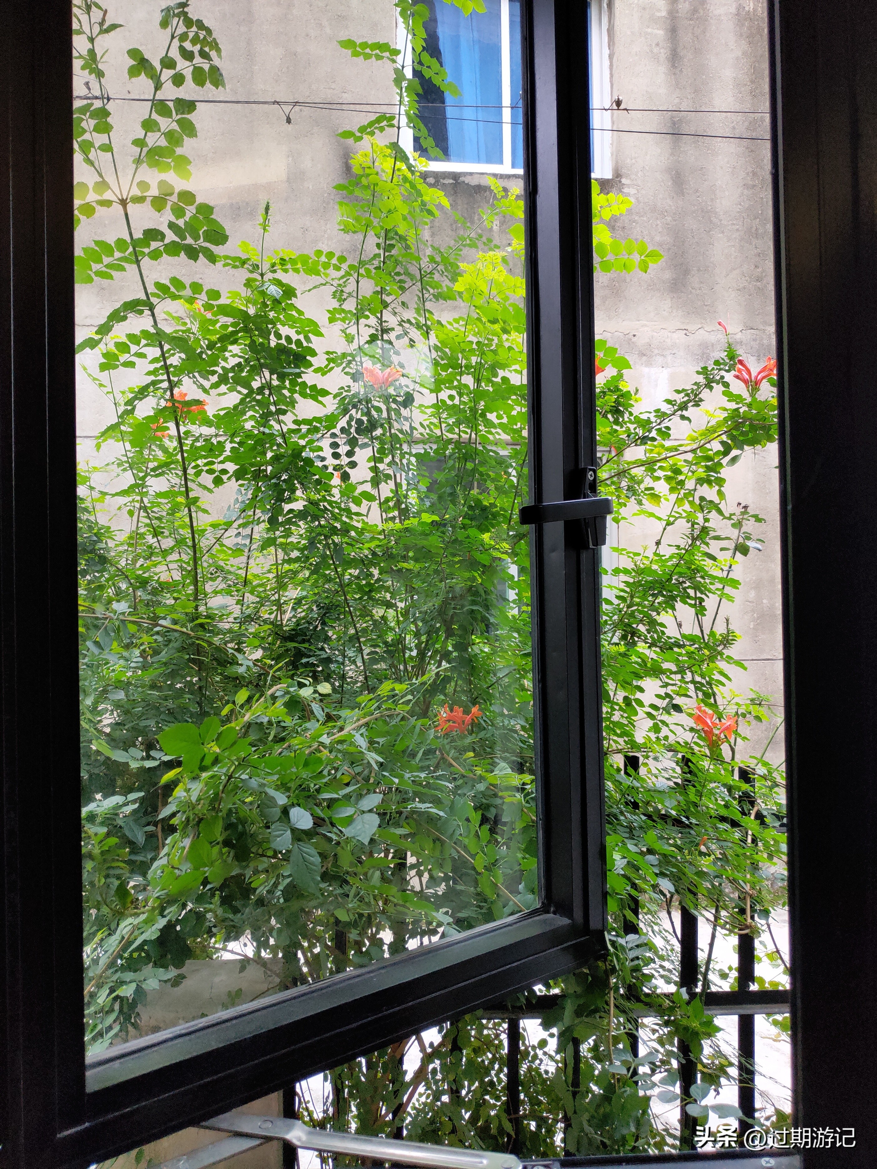 青田旅游购物,到青田要过哪些地方