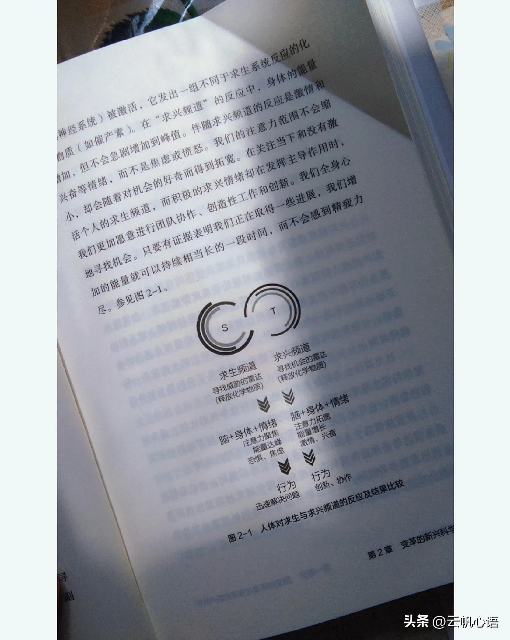 把自媒体当个公司来经营,用变革正道方法,给你20个写作锦囊