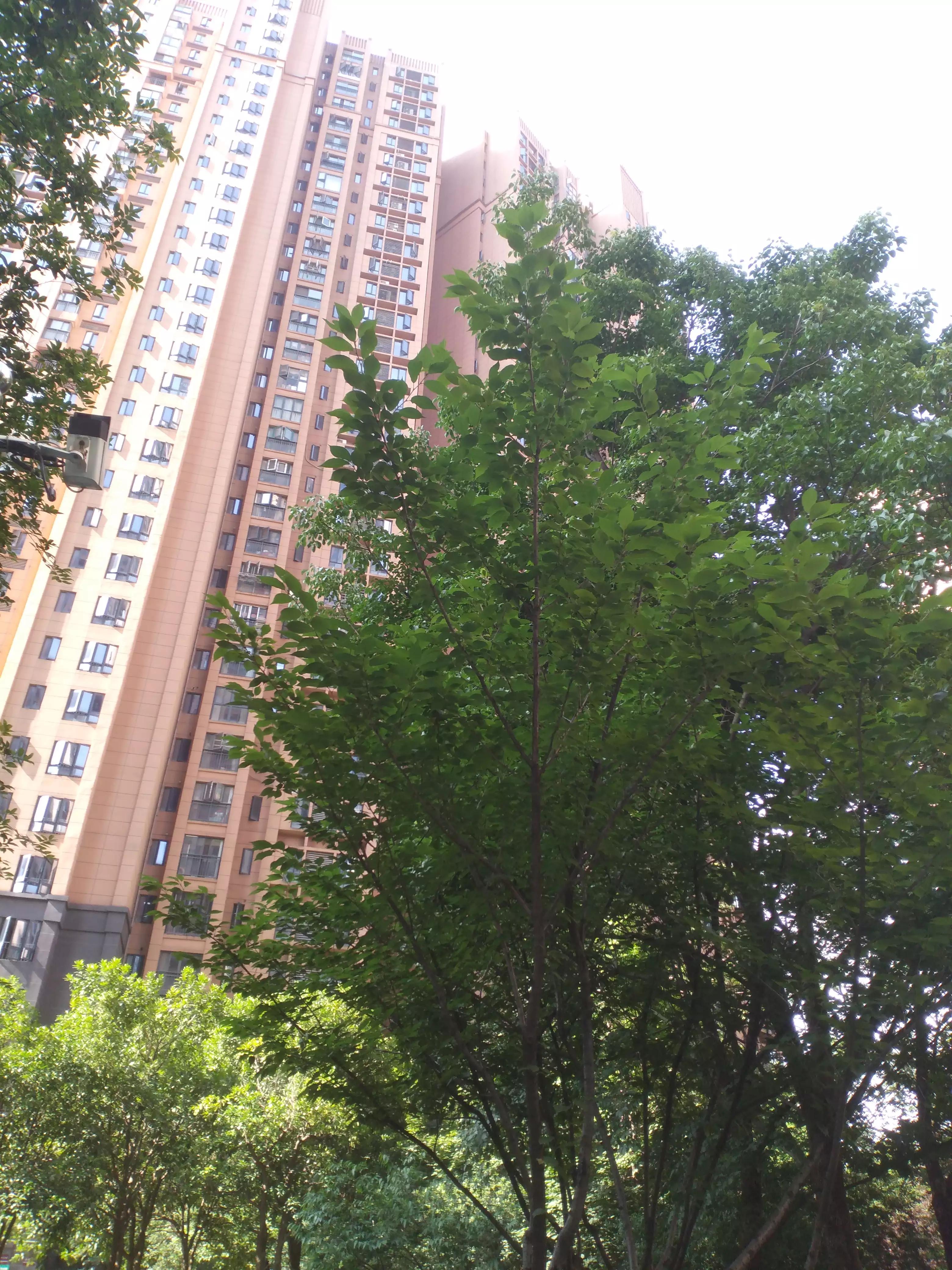 我的焦虑自我治愈,我的焦虑该怎么缓解