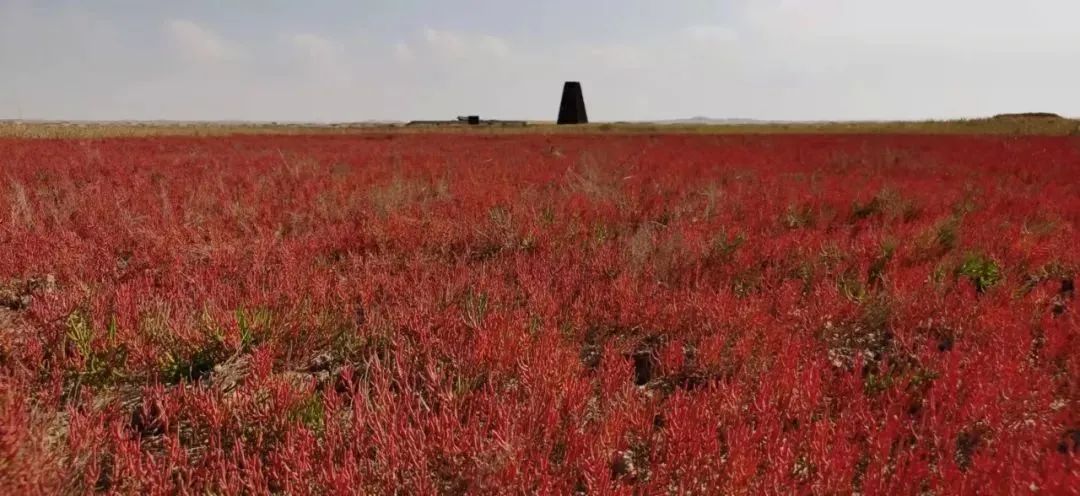 内蒙古冬季打卡景点,内蒙古美丽的草原网红打卡点