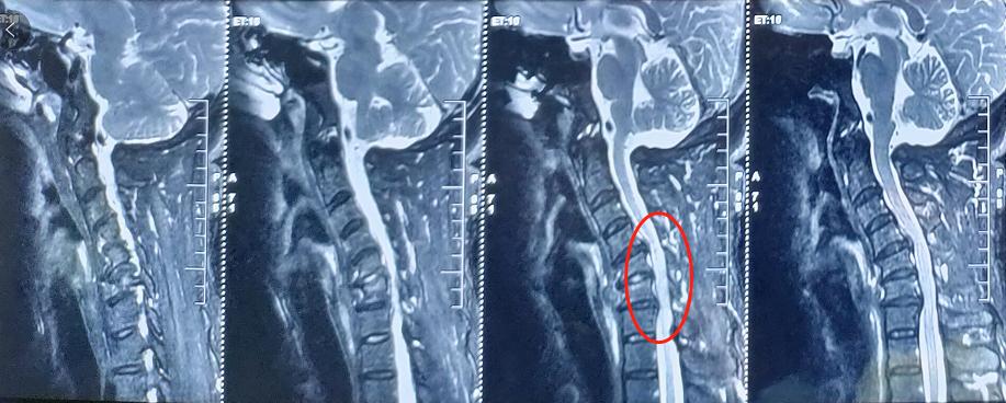 还好我没放弃下一句,还好我没放弃素材
