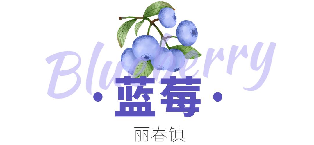 “min”甜爆汁！西瓜、蓝莓、桃子......彭州今夏水果新鲜开摘喽