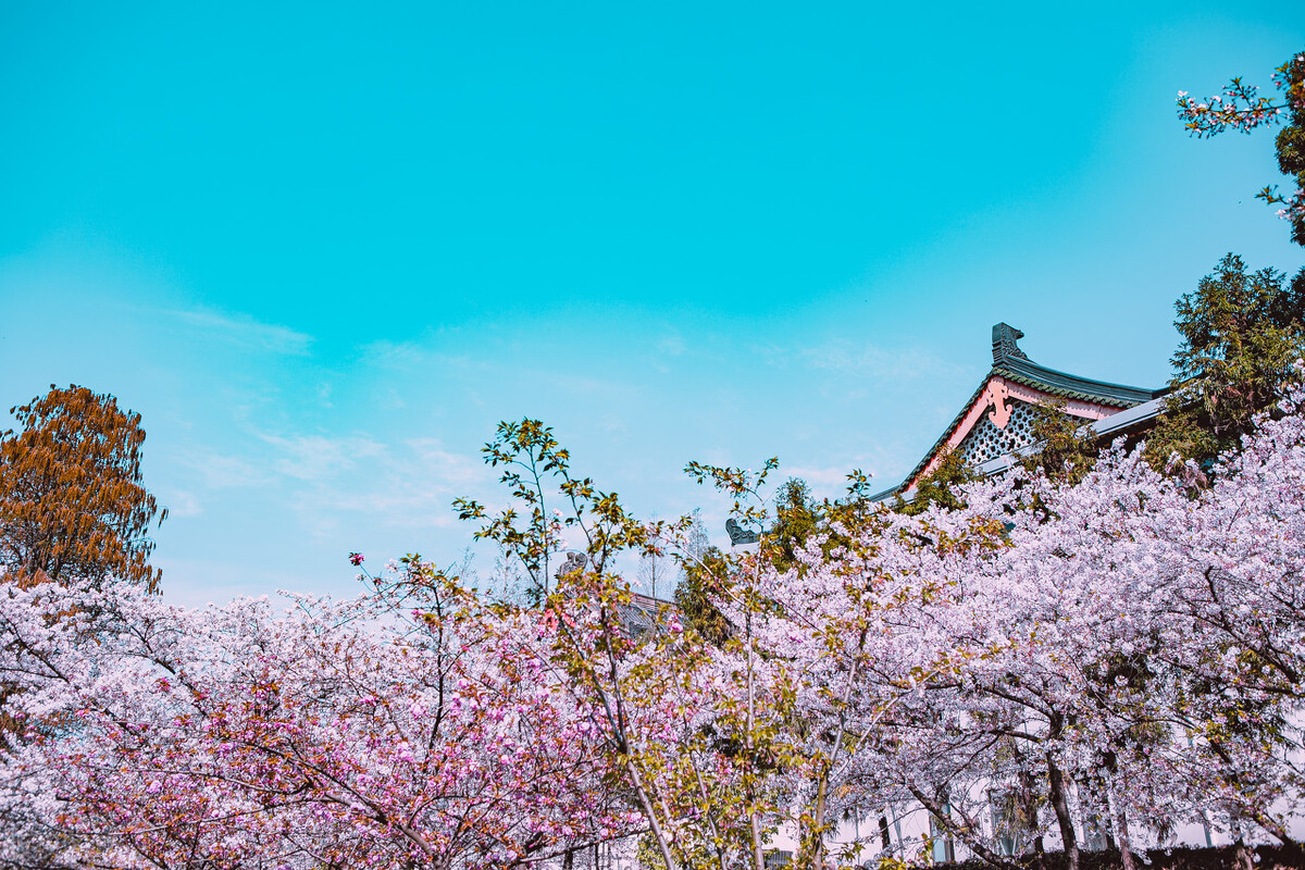 二月初五“溜光节”轧太平，别忘吃凉粉、烙油饼，一年顺溜不用愁