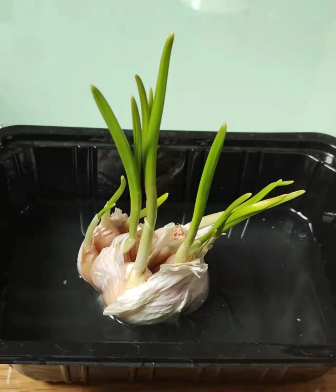 封控第24天，身在上海，我给有娃家庭的一些物资囤货建议