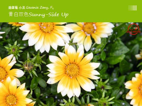 德国疫情带来的变化,德国园艺市场趋势