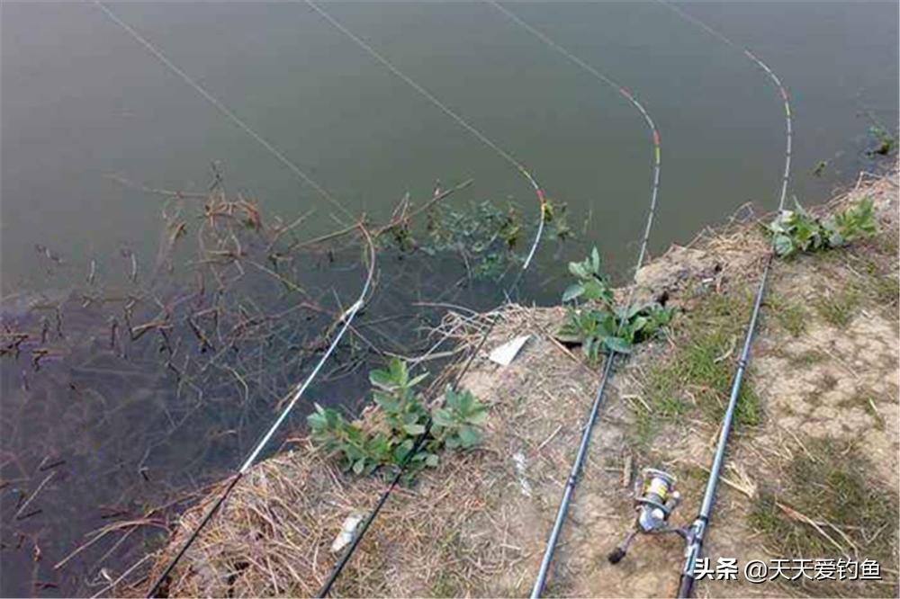 野钓串钩怎样钓鱼才是正确的,串钩钓鱼必备技巧