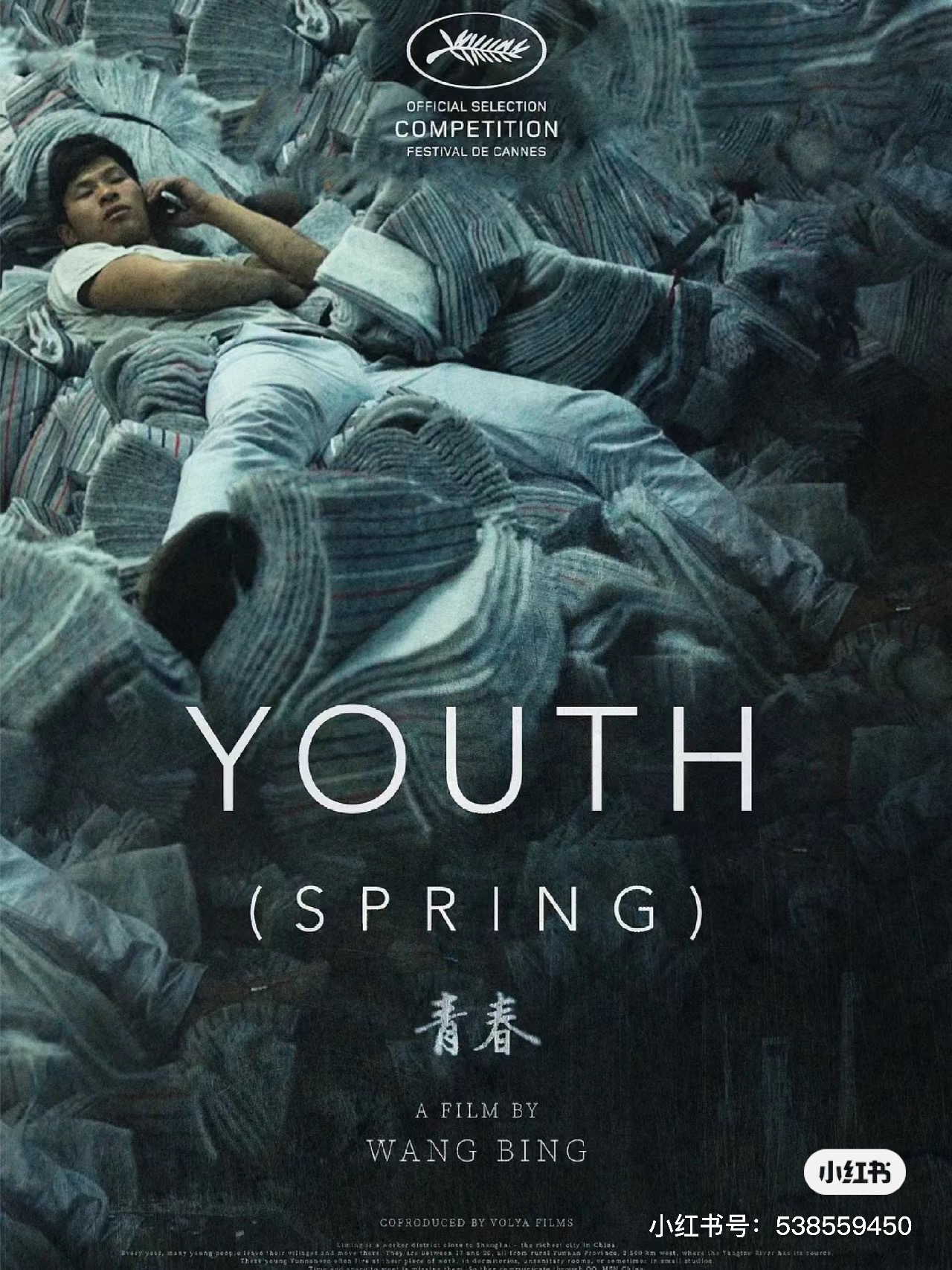 戛纳电影节值得一看的电影介绍,戛纳电影节值得推荐的影片