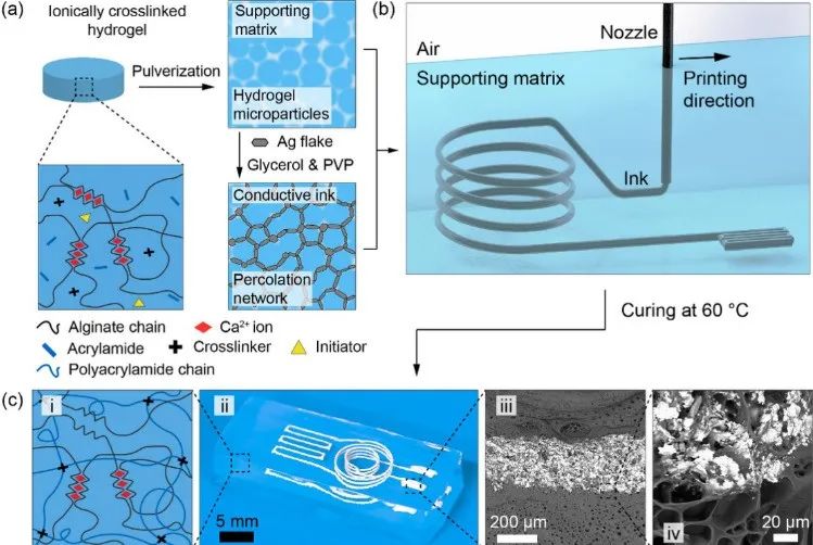 西湖大学微纳米3d打印系统,西湖大学水凝胶3d打印