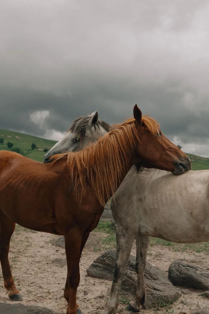 淘宝最火爆的文案,淘宝的文案都有哪些