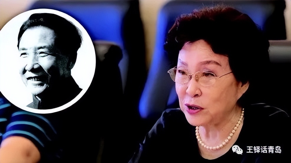 王铎一蓑烟雨,王铎长篇回忆录一蓑烟雨