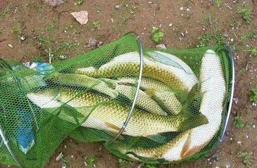 流水钓鱼的正确方法和技巧,大风流水钓鱼调漂的正确方法