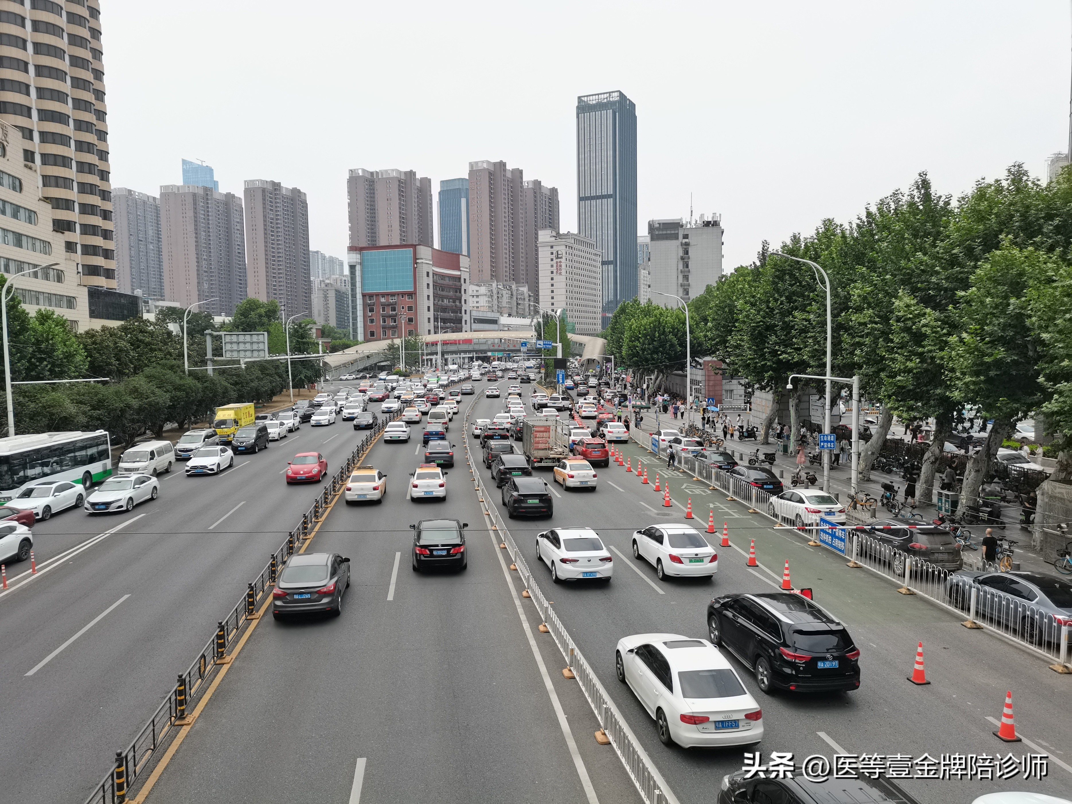 医院就业前景最好的专业,医学就业率最吃香的十大专业