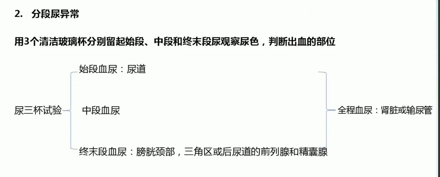 带你走进泌尿系统，了解血尿、蛋白尿