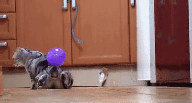 静电有哪些危害的视频,静电真的有多可怕