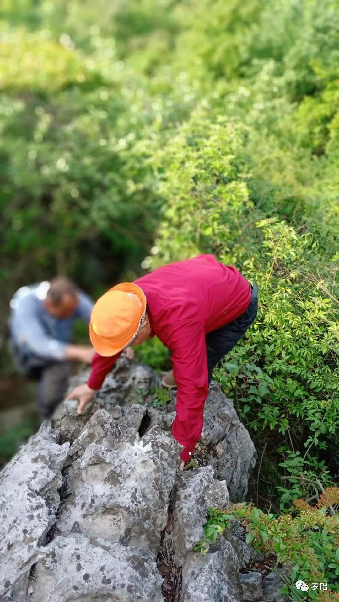 鐭虫湪灞卞,鐭虫湪瀵ㄥソ椋庡厜