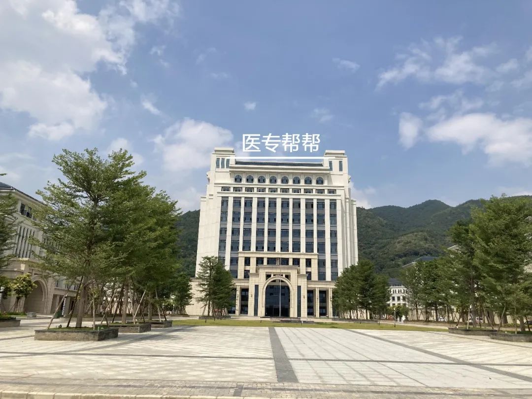 广东新增公办二本学院,广东省刚升公办本科的学校