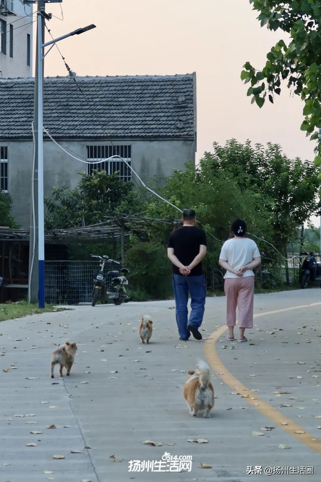 这是你没见过的全新版本,湾头古镇在哪里