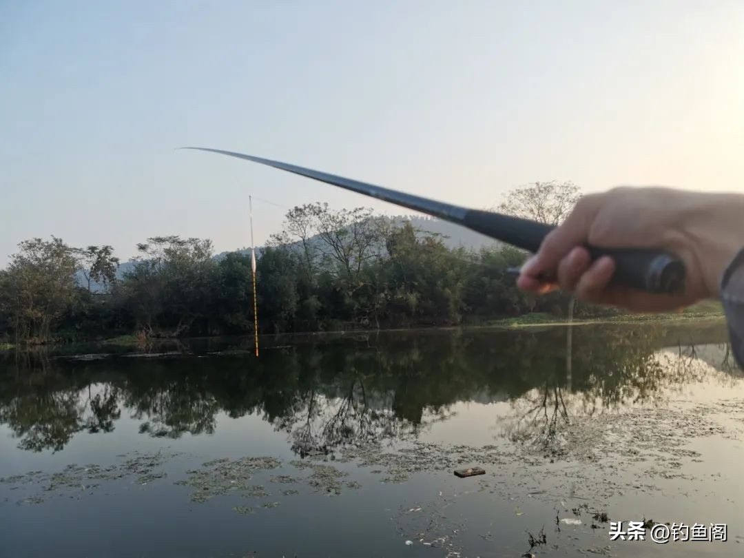 哪种浮漂更有钝感,冬季轻口高灵敏度鲫鱼漂