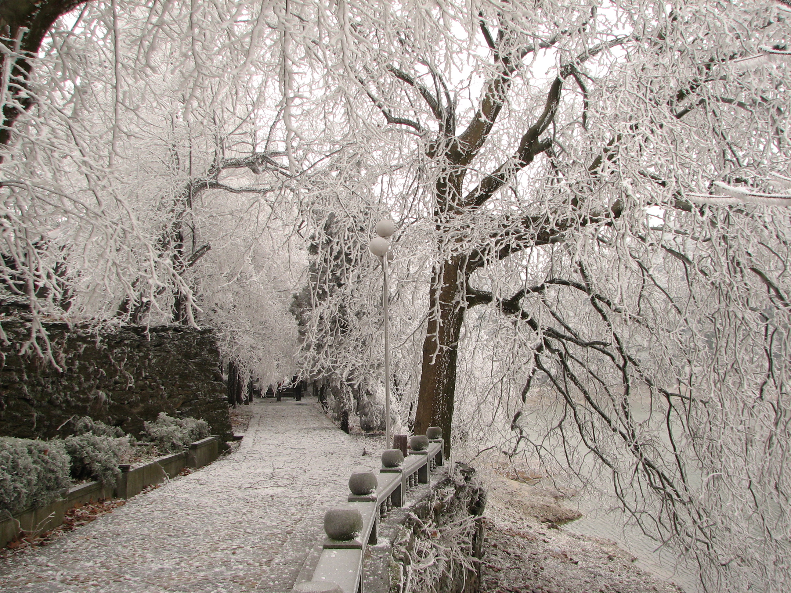 江西户外那些事老鸦尖-九宫山穿越（一）九宫山*情迷**25小时