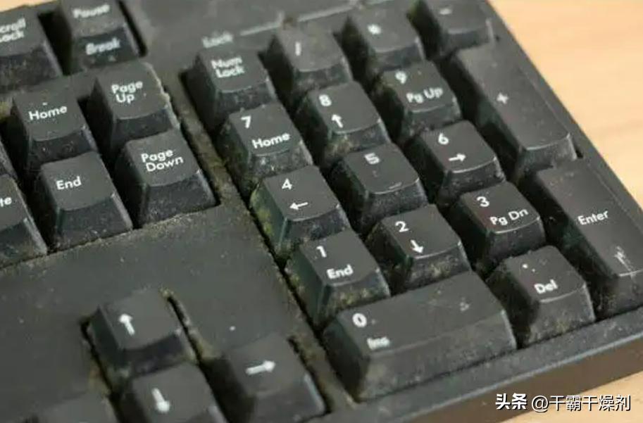 塑料制品受潮会生黄曲霉素吗,塑料制品发霉是什么霉